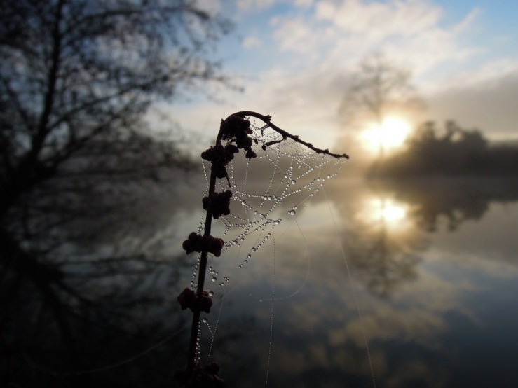 6440984091_07d0b43342_b