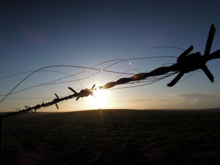 6771829981_ac3cc43408_b