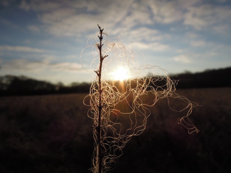 6811834123_03a5cebc03_b