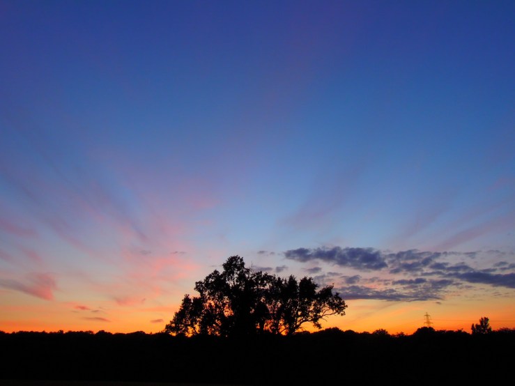 7580669928_cc7485d9c9_b