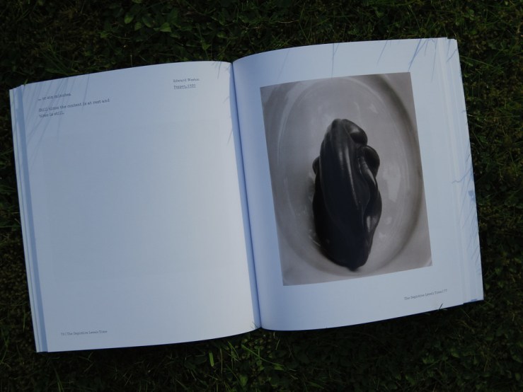 27000786327_13f1ac96a1_b