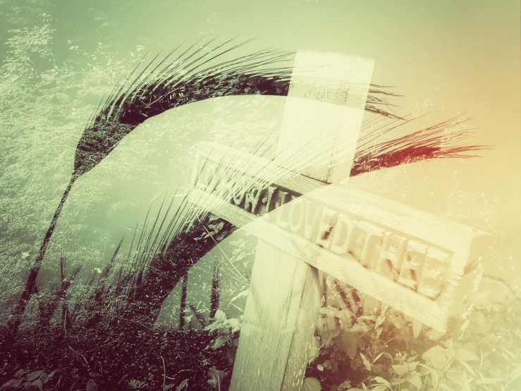 28586347298_f997ed7b6d_b