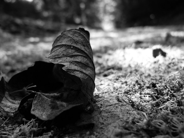 40522688150_2a384ea1f3_b