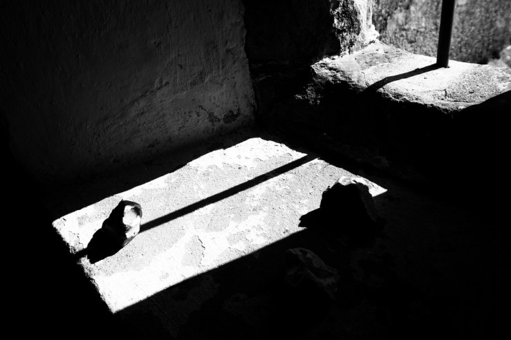 41080541975_6b28226845_b