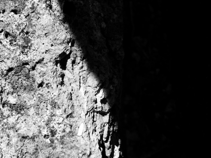 41885762541_b09bf12837_b