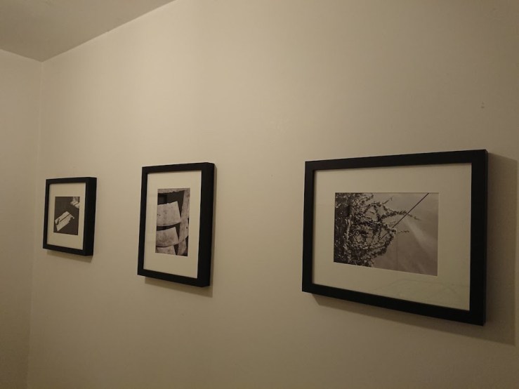 42215230982_f2b7c4e294_b