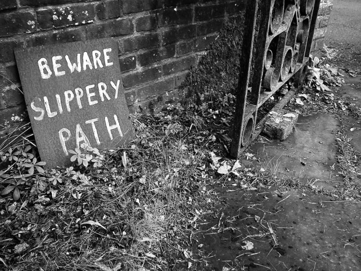 42298504082_40711a4321_b