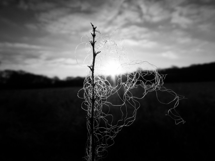 6811834123_68db587e6c_b