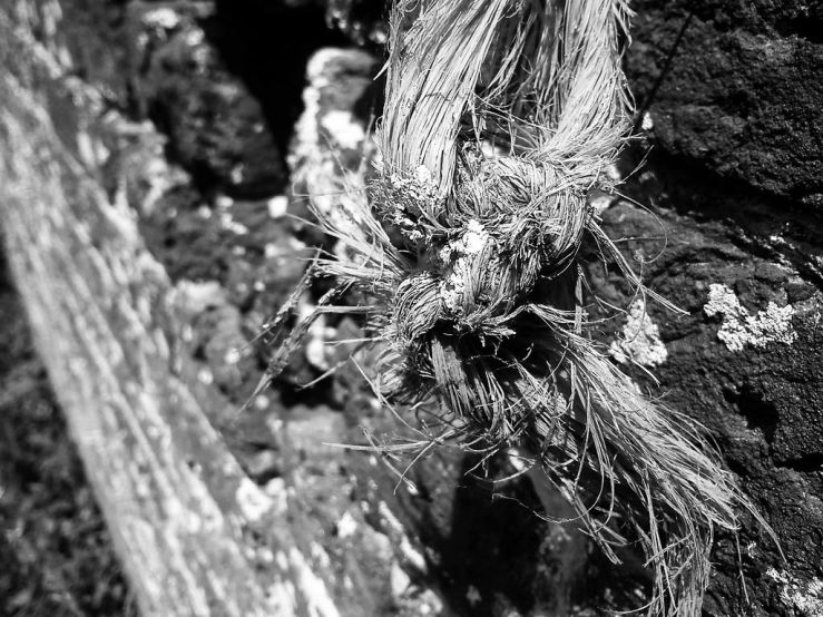 27806412657_b8106b8427_b