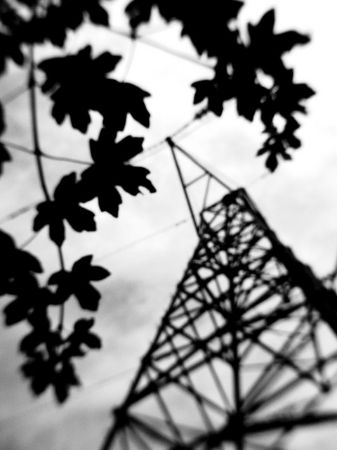 28036032467_3e2e8a0791_z