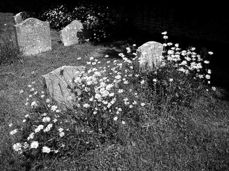 28884552378_f2968e2352_b