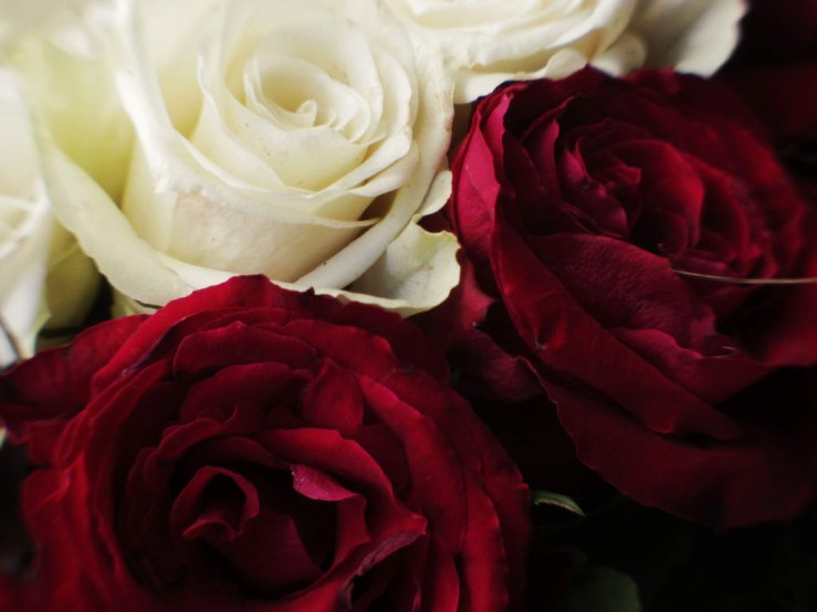 41094402630_717d9b21ce_b