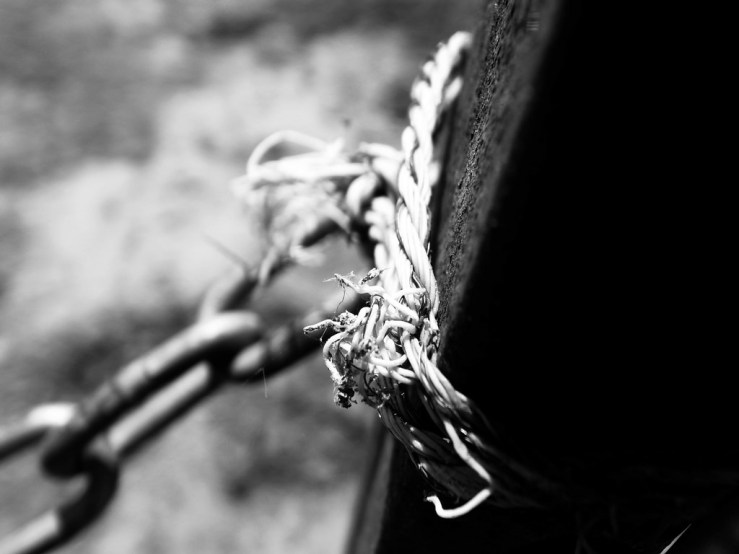 41143808490_4f1cae4e26_b