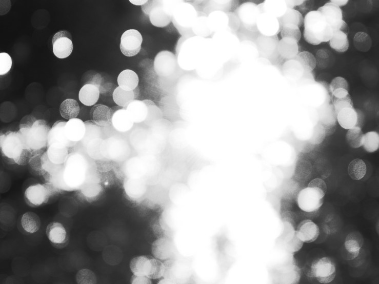 41143844990_f50990fe16_b