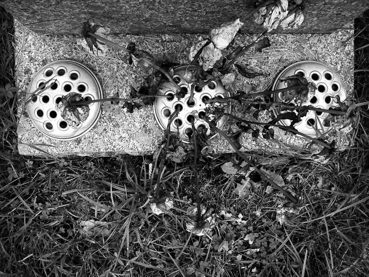 41444648995_447df437d5_b