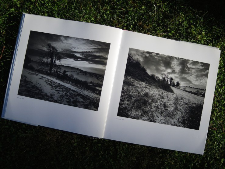 41453327544_826822b560_b