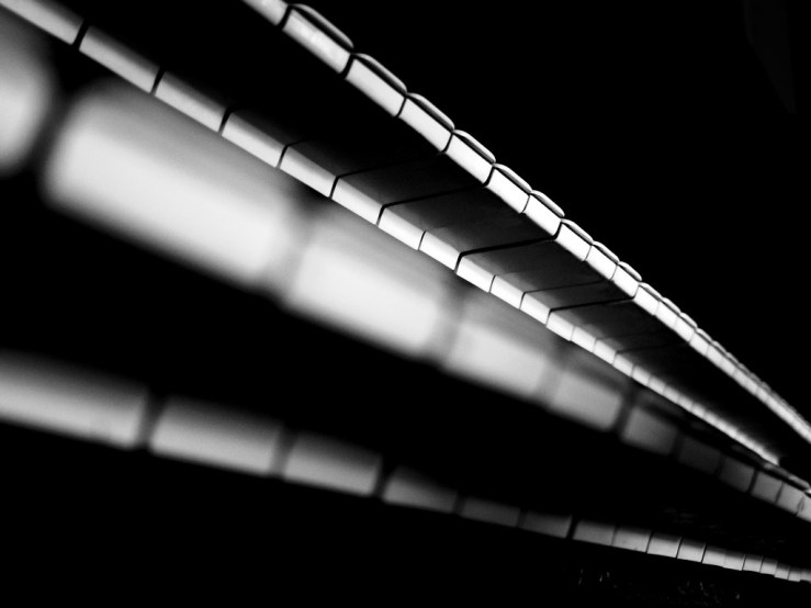 41758576754_d066a0a041_b