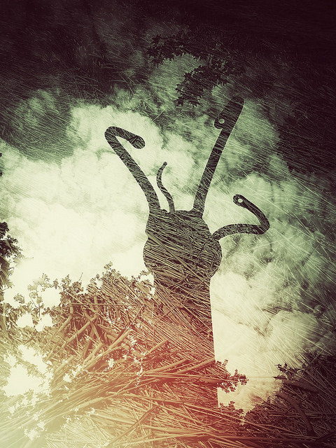 41840633055_903aecef11_z