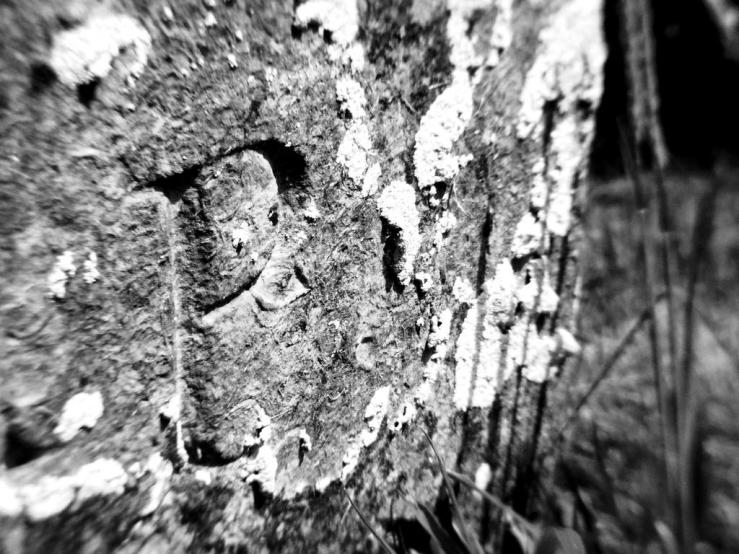 42186330044_7ede217b86_b