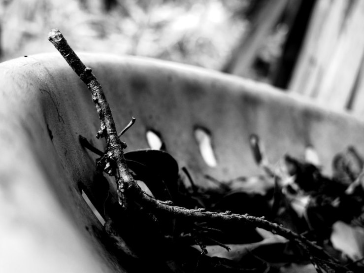 42445648482_e3412af5f5_b