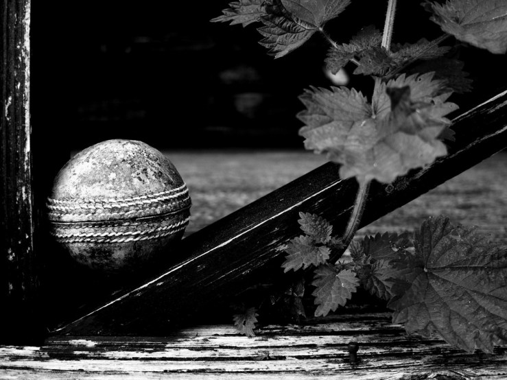 42481077731_cb4df08a0d_b