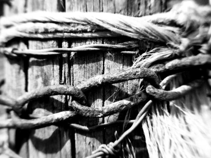 42856435072_0a12b16f62_b