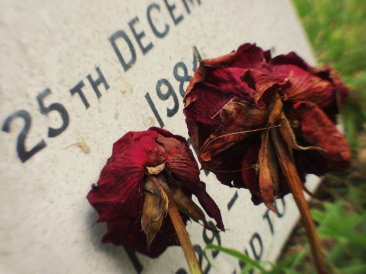 42904680851_5e2384fe7f_b