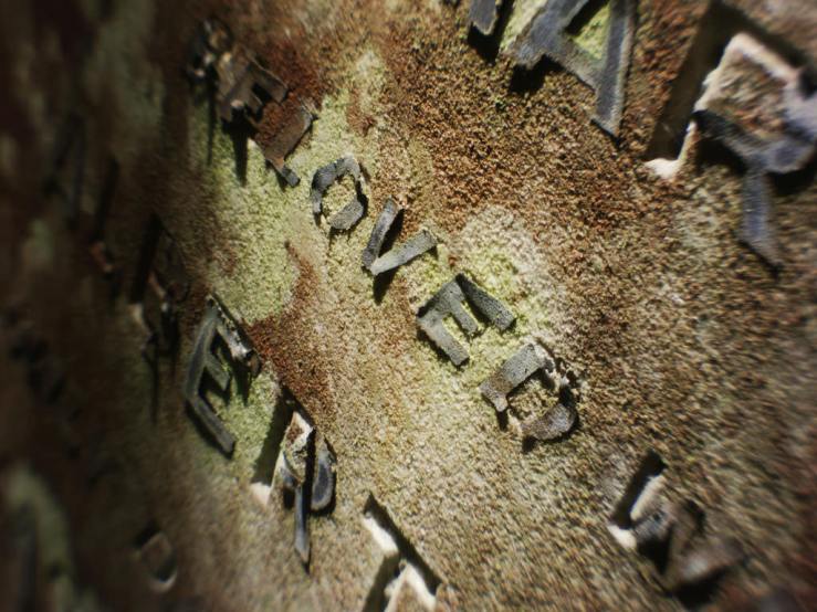 42954987402_d5a8a36284_b