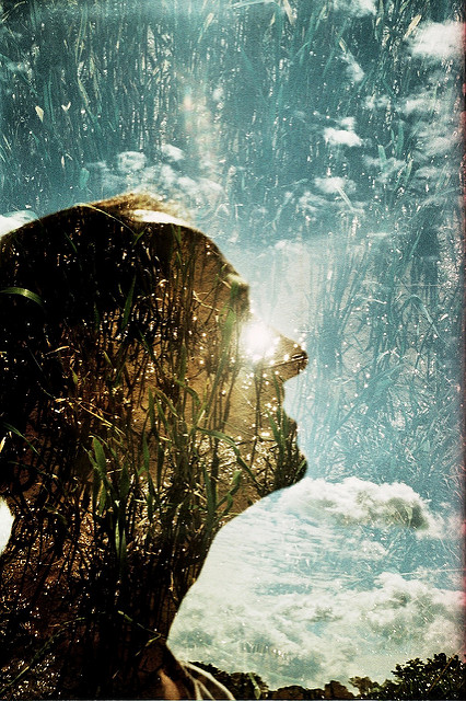 7655771974_b15d336979_z