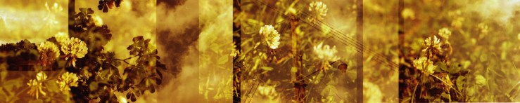 9422923609_246a4b4058_b