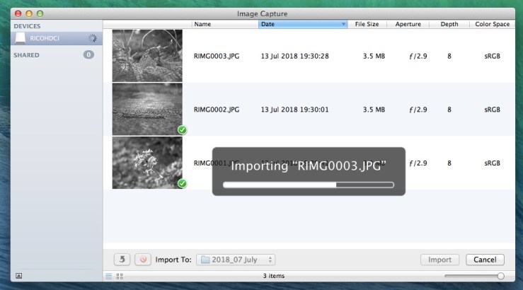 29518354608_942c88d5bf_b