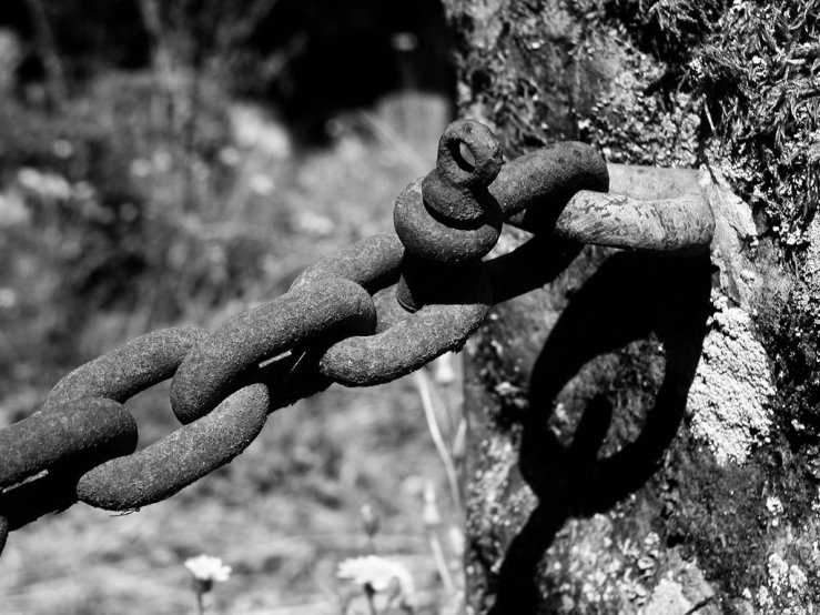 29581972948_66d118fabd_b