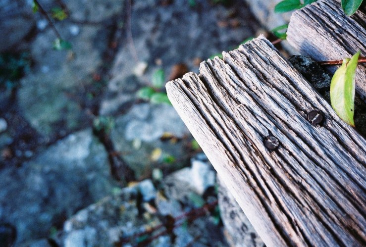 30849643102_d3cab84072_b