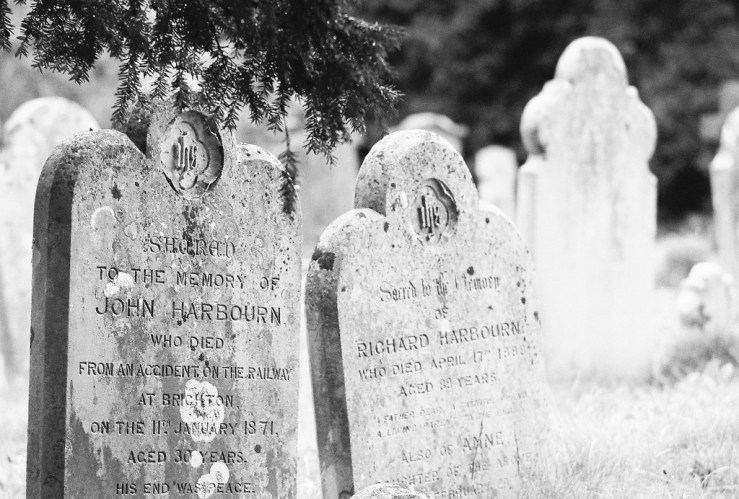 32536100162_1aef1da506_b