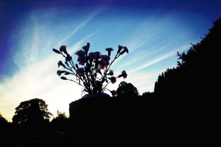 34912108613_89d8b3389c_b