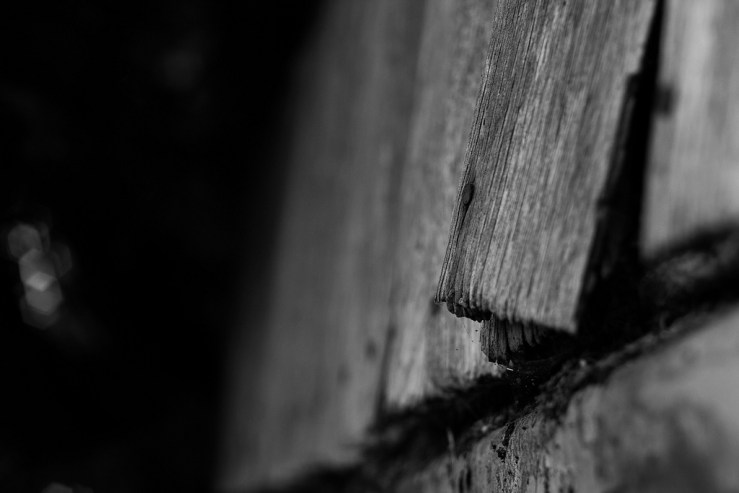 37108624293_61de8f88f1_b1