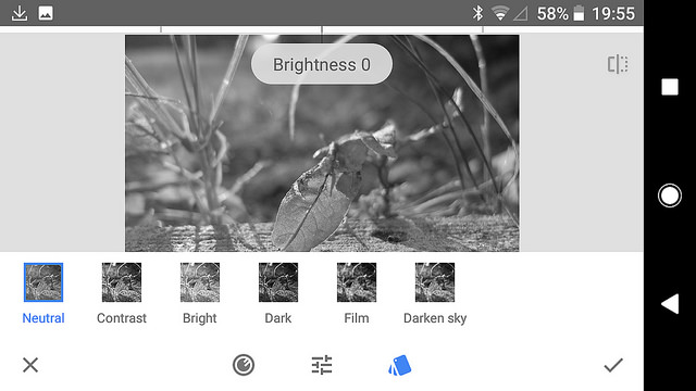 41580415700_afd0ec2da8_z