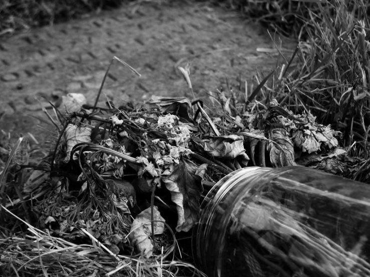 42477351815_b21c5c8b70_b