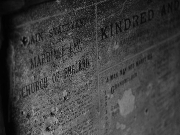 42665083484_c762cbc170_b