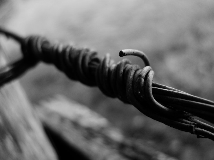 42841700255_4074666033_b