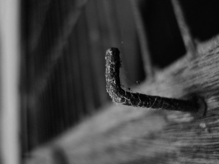 43030028574_2c2f80b318_b