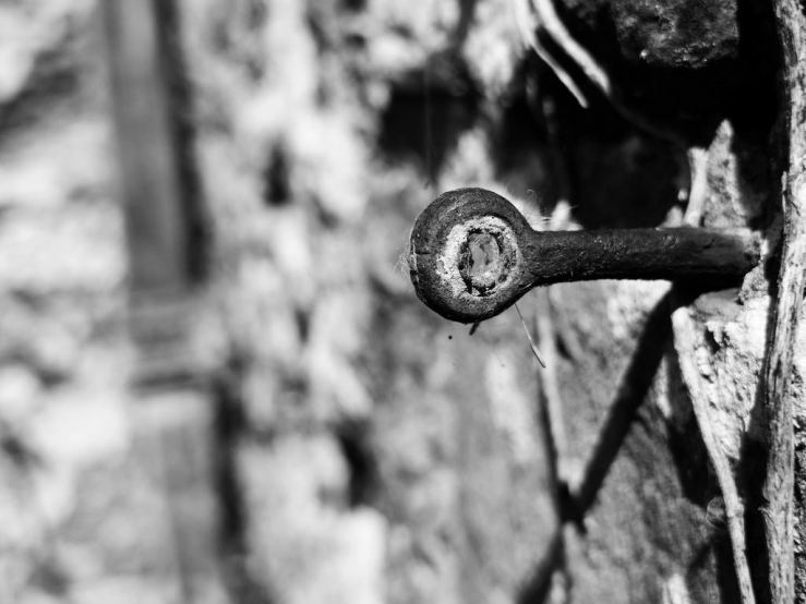 43158945871_0976ba27e5_b