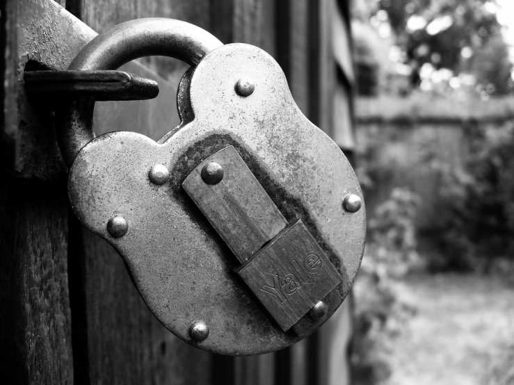 43590311742_1151c61d05_b