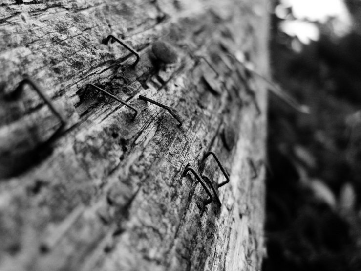 43719581422_20c4ed1ca2_b