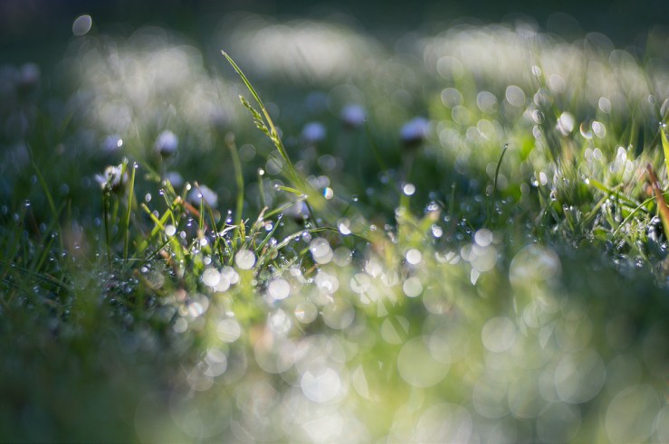 17982725160_779a32b592_b