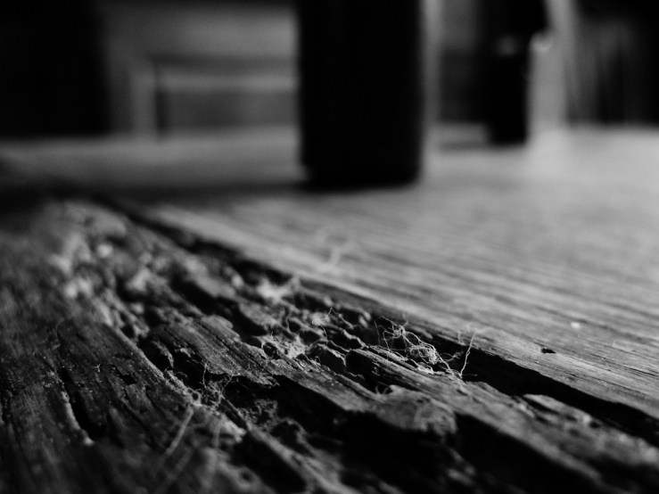 42887229275_5499411159_b