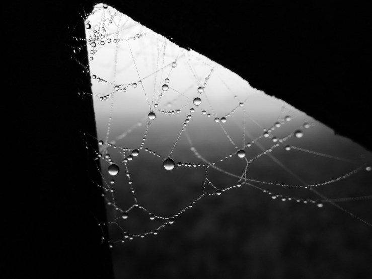 6368988813_429c727277_b