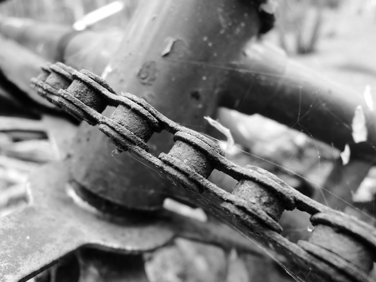 7251456742_43cc4ac217_b