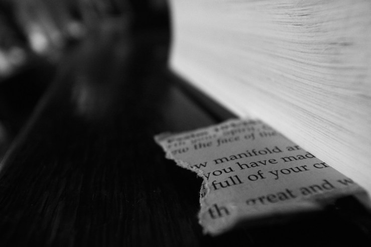 39093542451_62b51683b8_b