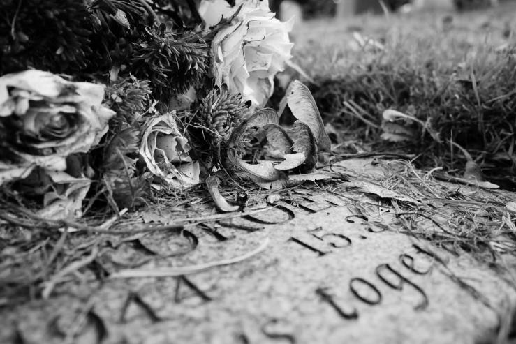 43768898355_6407a29137_b